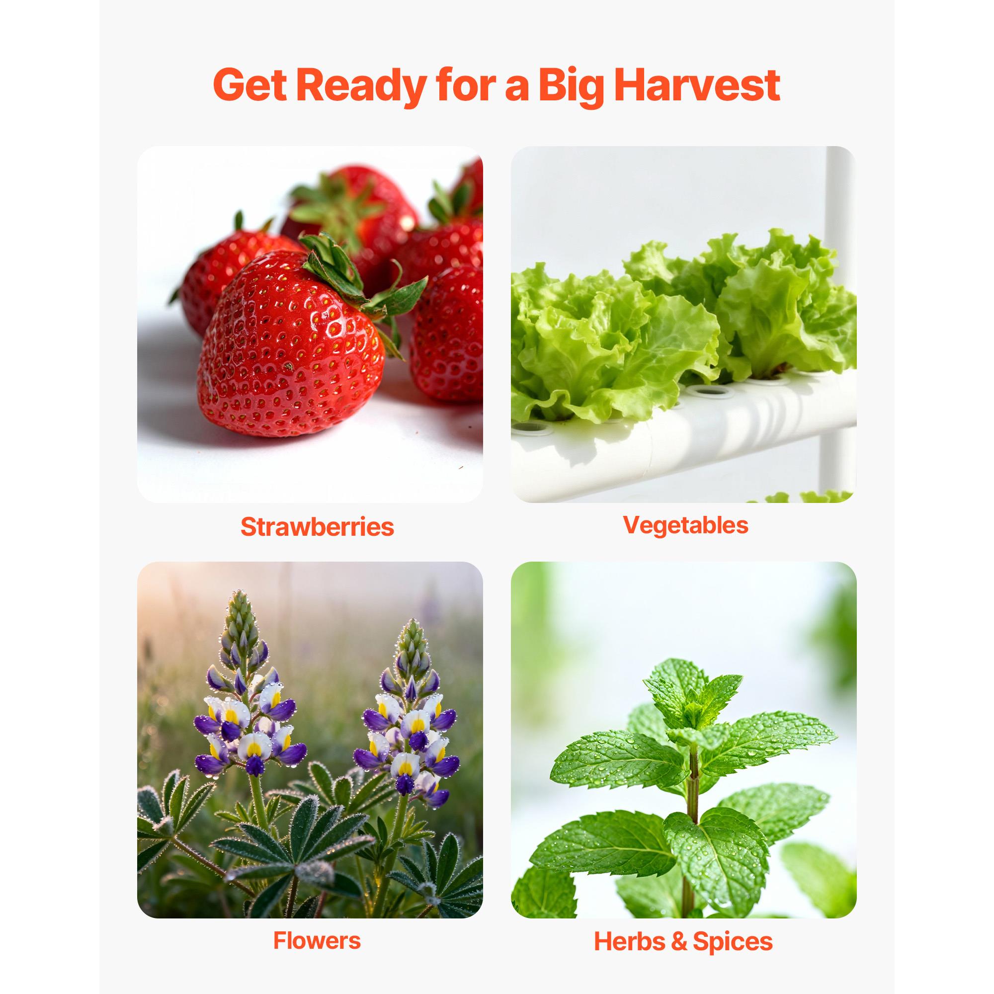3 Tier 90 Sites Hydroponic Gro - огляд і ціна Hydroponic Kit