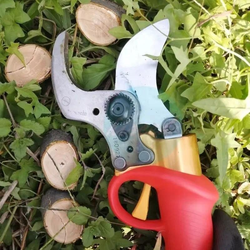 Battery Powered Pruning Shears - огляд і ціна Pruning Shears