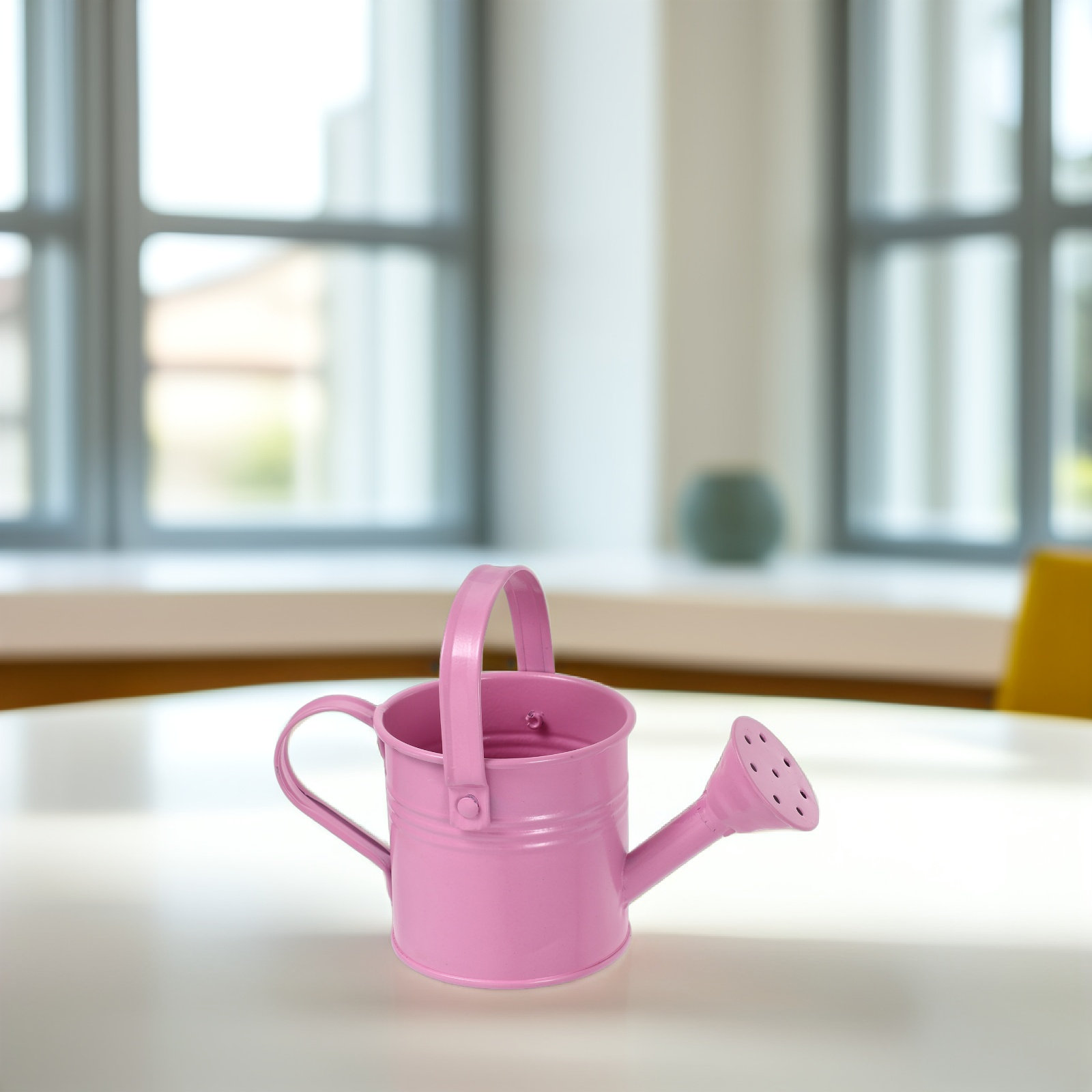 Mini Galvanized Watering Can f - огляд і ціна Watering Can